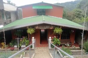 Buena vista caba&ntilde;a