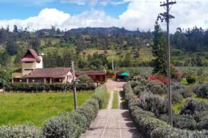 Buganvilla Hospedaje y camping