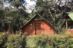 Cabalgata y pesca oriente &ndash; Estadero Truchas Y Caballos