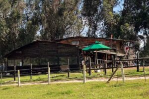 Cabalgatas Pony Express