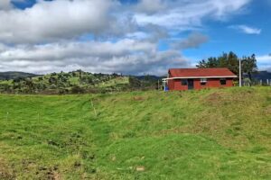 Caba&ntilde;a aracelly