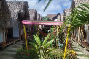 Caba&ntilde;a Beach Palomino