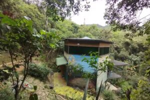 Caba&ntilde;a bonita, Alejandr&iacute;a