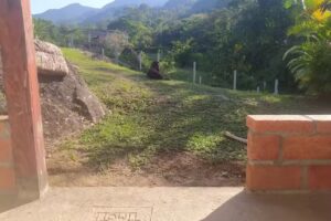 Caba&ntilde;a Bryan Quintana