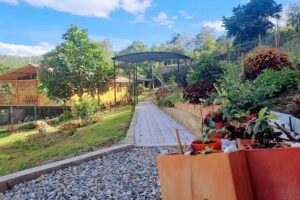 Caba&ntilde;a Caracol&iacute;