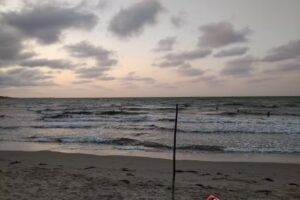 Caba&ntilde;a/Casa Azul Fresh