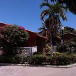 Caba&ntilde;a del Arbol