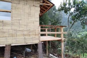 Caba&ntilde;a del arbol