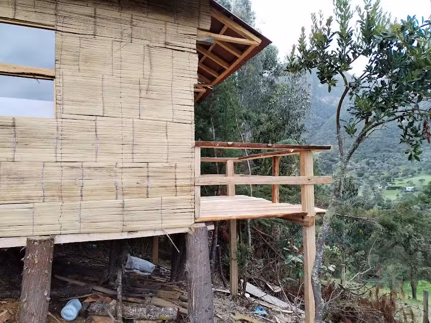 Caba&ntilde;a del arbol