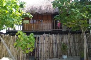 Caba&ntilde;a Del Mono