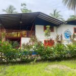 Caba&ntilde;a el bien germina ya