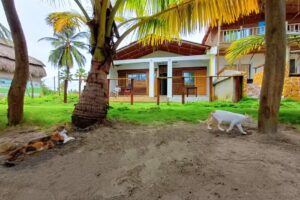 Caba&ntilde;a el LLanerito