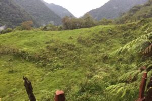 Cabaña “El Paisa”