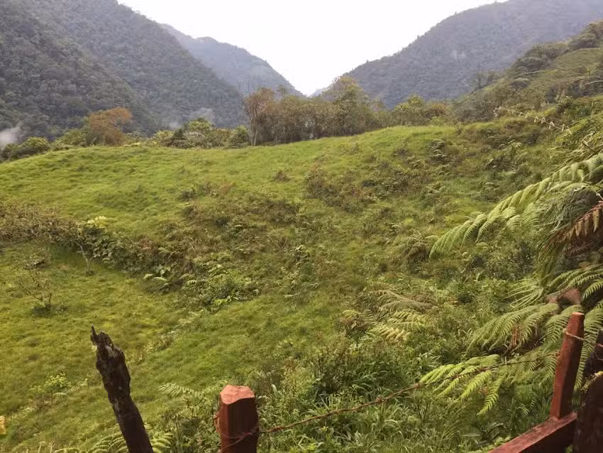 Caba&ntilde;a &ldquo;El Paisa&rdquo;