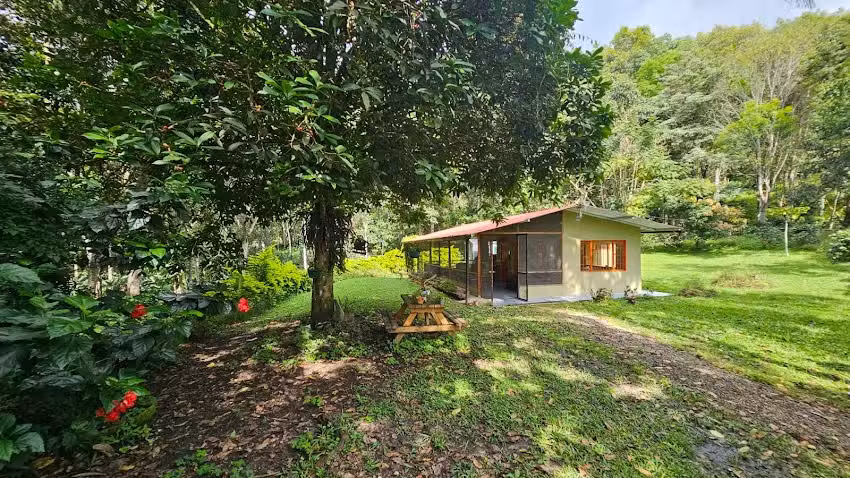 Caba&ntilde;a en bosque Cafetero