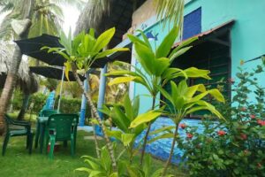 CABA&Ntilde;A EN DELFIN, MO&Ntilde;ITOS CORDOBA