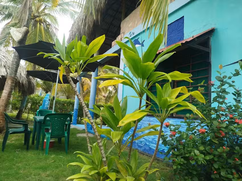 CABA&Ntilde;A EN DELFIN, MO&Ntilde;ITOS CORDOBA