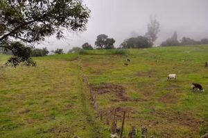 Caba&ntilde;a en La Chorrera