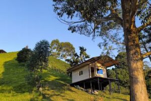 caba&ntilde;a filo bonito