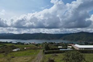 Caba&ntilde;a green soul los calima