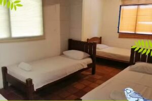 CABA&Ntilde;A GUACHARACAS