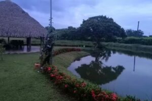 CABA&Ntilde;A GUARATAROS