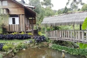 Caba&ntilde;a La Isla