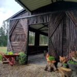 Caba&ntilde;a la orqu&iacute;dea