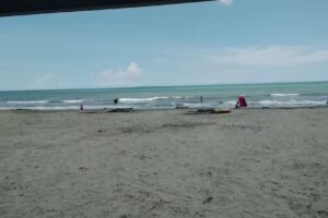 Caba&ntilde;a la pamela