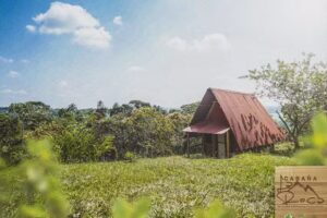 Caba&ntilde;a la Roca
