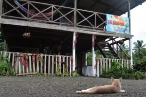 Caba&ntilde;a La Tagua