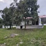 Caba&ntilde;a Las Palmeras