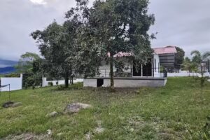 Cabaña Las Palmeras