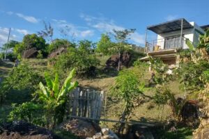 Caba&ntilde;a Lemon House