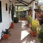 CABA&Ntilde;A LOS PINOS