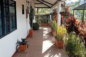 CABA&Ntilde;A LOS PINOS