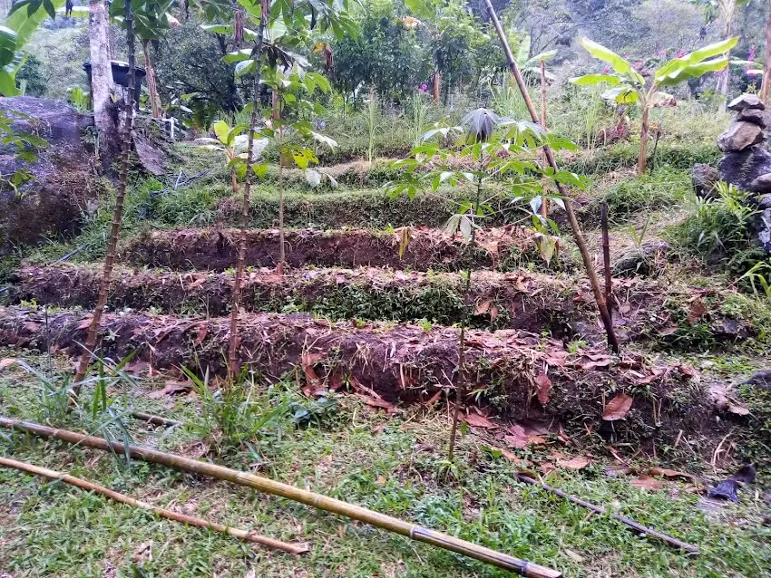 Caba&ntilde;a manantiales de sancarlos