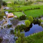 Caba&ntilde;a Mandarina