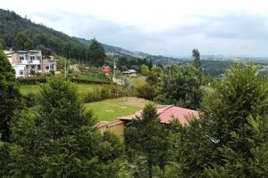 caba&ntilde;a maralia