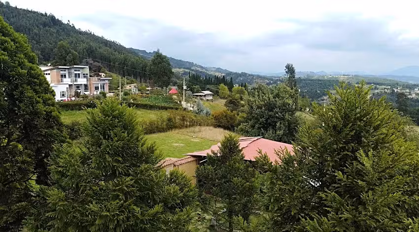 caba&ntilde;a maralia