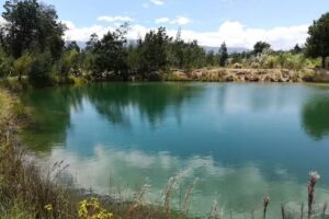 Caba&ntilde;a Naturaleza y vida