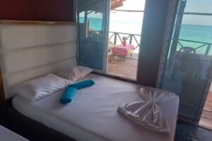 Caba&ntilde;a Palos locos