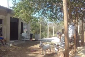 Caba&ntilde;a pie de loma