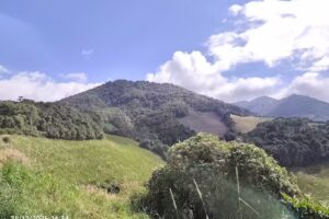 Caba&ntilde;a Rosita