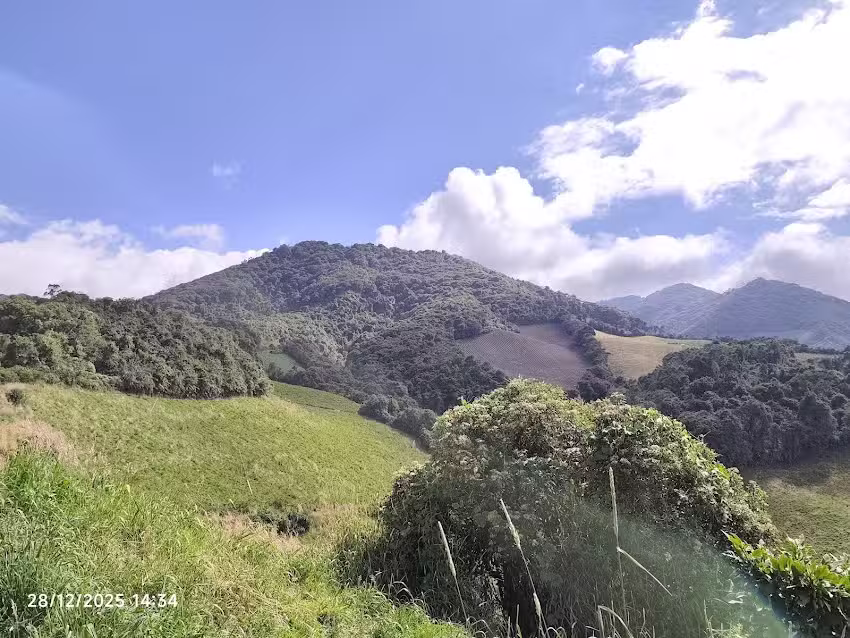 Caba&ntilde;a Rosita