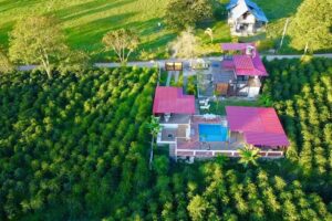 CABA&Ntilde;A TIERRA COLOMBIANA