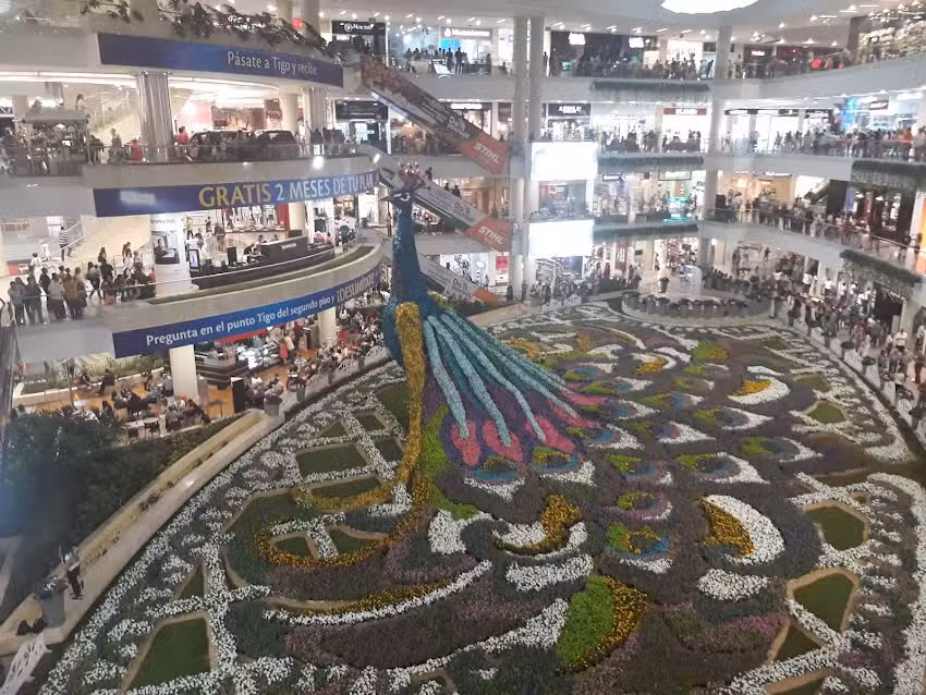 CABA&Ntilde;A VALSAN