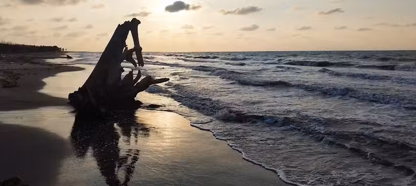 Caba&ntilde;a victoria