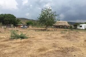 Caba&ntilde;a Villas De Juansebass