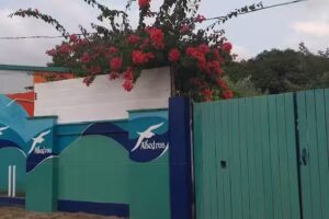 Caba&ntilde;as Albatros